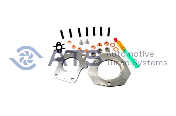 Dichtungskit RENAULT GRAND SCÉNIC III 1.4 16V H4J 700 144105751R 144110001R 144112927R 144113693R